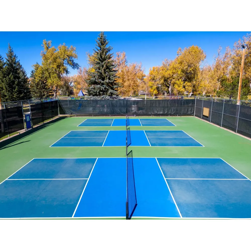 Корт для піклболу Gamma Pickleball Court True Court 16 x 8m - 1